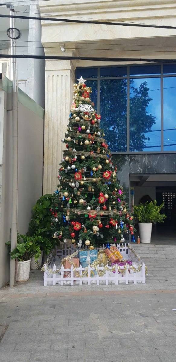 Báo Giá Trang Trí Cây Thông Noel Tại Nhà Bè. Ảnh 1